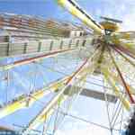 img-6781.jpg