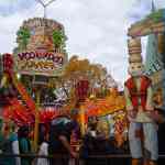 img-6894.jpg