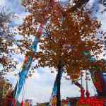 img-6909.jpg
