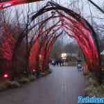 walibi-holland-29-12-2024-330.jpg