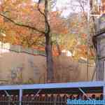 drouwenerzand-31-10-2021-001.jpg