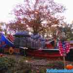drouwenerzand-31-10-2021-007.jpg