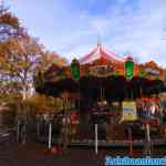 drouwenerzand-31-10-2021-008.jpg