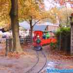 drouwenerzand-31-10-2021-014.jpg