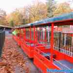 drouwenerzand-31-10-2021-016.jpg