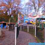 drouwenerzand-31-10-2021-027.jpg