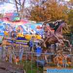 drouwenerzand-31-10-2021-028.jpg
