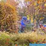 drouwenerzand-31-10-2021-034.jpg