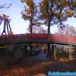 drouwenerzand-31-10-2021-036.jpg