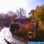 drouwenerzand-31-10-2021-038.jpg