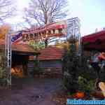 drouwenerzand-31-10-2021-045.jpg