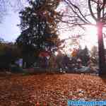 drouwenerzand-31-10-2021-053.jpg