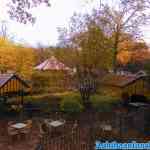 drouwenerzand-31-10-2021-066.jpg