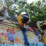 img-2309.jpg