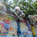 img-2312.jpg