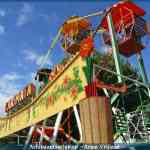 img-6985.jpg