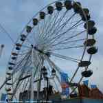 img-9685.jpg
