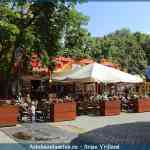 img-7135.jpg