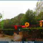 img-9939.jpg
