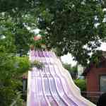 img-1635.jpg