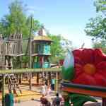 img-2185.jpg