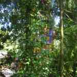 img-2200.jpg