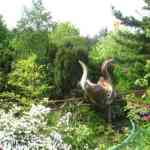 img-2203.jpg