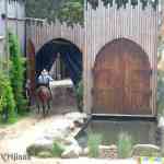 img-2797.jpg