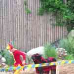 img-2805.jpg