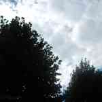 img-2835.jpg