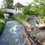 img-2837.jpg
