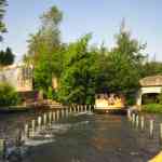 img-0301.jpg