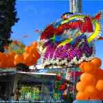 img-0626.jpg