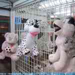 img-0478.jpg