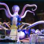 img-0050.jpg