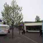 img-1181.jpg