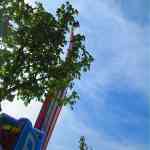 img-9113.jpg