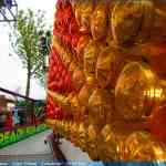 img-3305.jpg