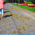 img-0143.jpg