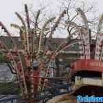rotterdam-schiebroek-08-02-2025-019.jpg