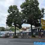 munster-16-07-2023-001.jpg