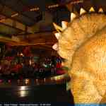 img-5005.jpg