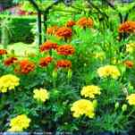 67aa0a7de6b38_img-7941.jpg