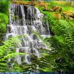 67aa0aa042b57_img-8000.jpg