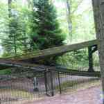 img-0969.jpg