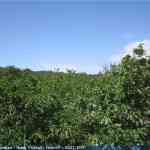 img-2900.jpg