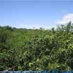img-2902.jpg