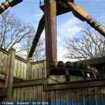 img-1415.jpg