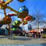 img-2061.jpg