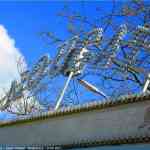 img-4730.jpg